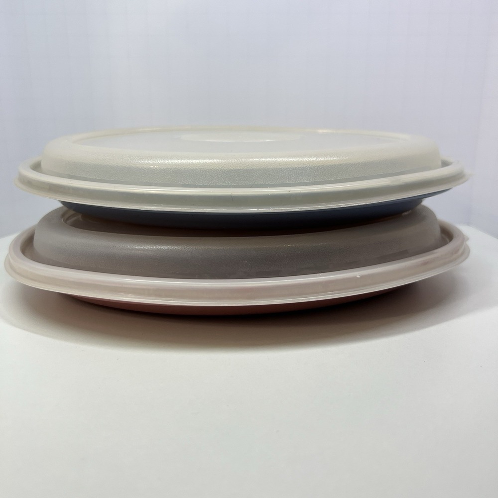 Vintage 1980s Rubbermaid Servin Saver Oval Entree Plates w‎ Lids Set of 2